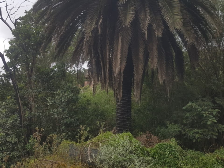 0 Bedroom Property for Sale in Knysna Heights Western Cape